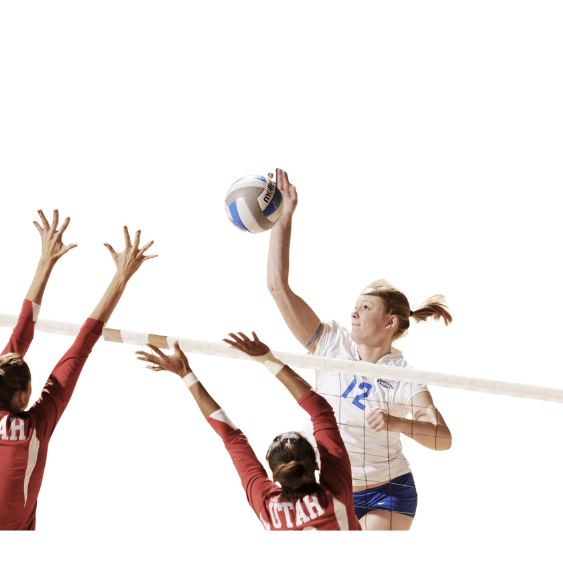 极速电竞比分网用户中心